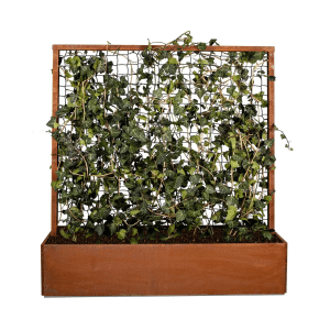 Land Modern - Plantekasse med espalier i Corten - 120 cm