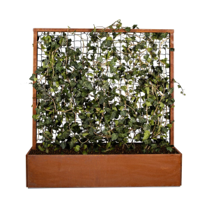 Land Modern Plantekasse med espalier i Corten - 180 cm