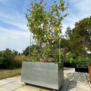 Plantekasse galva m/espalier 80 x 40 x 40 cm
